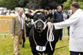 Malton Show 2024